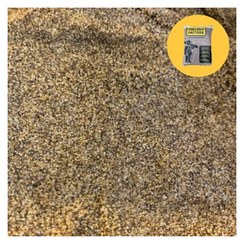 LEIGHTON BUZZARD SAND 25KG BAG